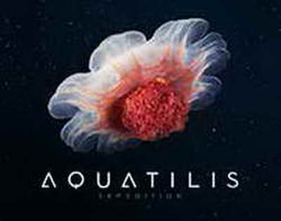 Изменения в обновлении KB5072033 (сборки 26100.7462 и 26200.7462) для Windows 11 версий 24H2 и 25H2