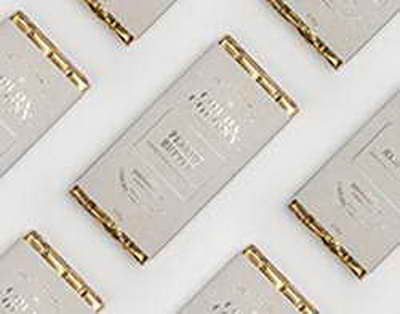 Девушка Павла Дурова Юлия Вавилова посетила свадьбу Конора Макгрегора в Ватикане