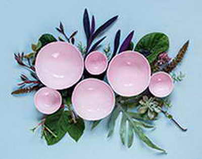 Москитные сетки нового поколения: рулонные, «Антимошка» и «Антипыльца» — особенности и преимущества